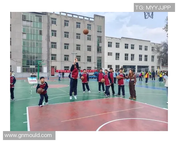 重庆篮球队区域防守革新之路探索与实践分析